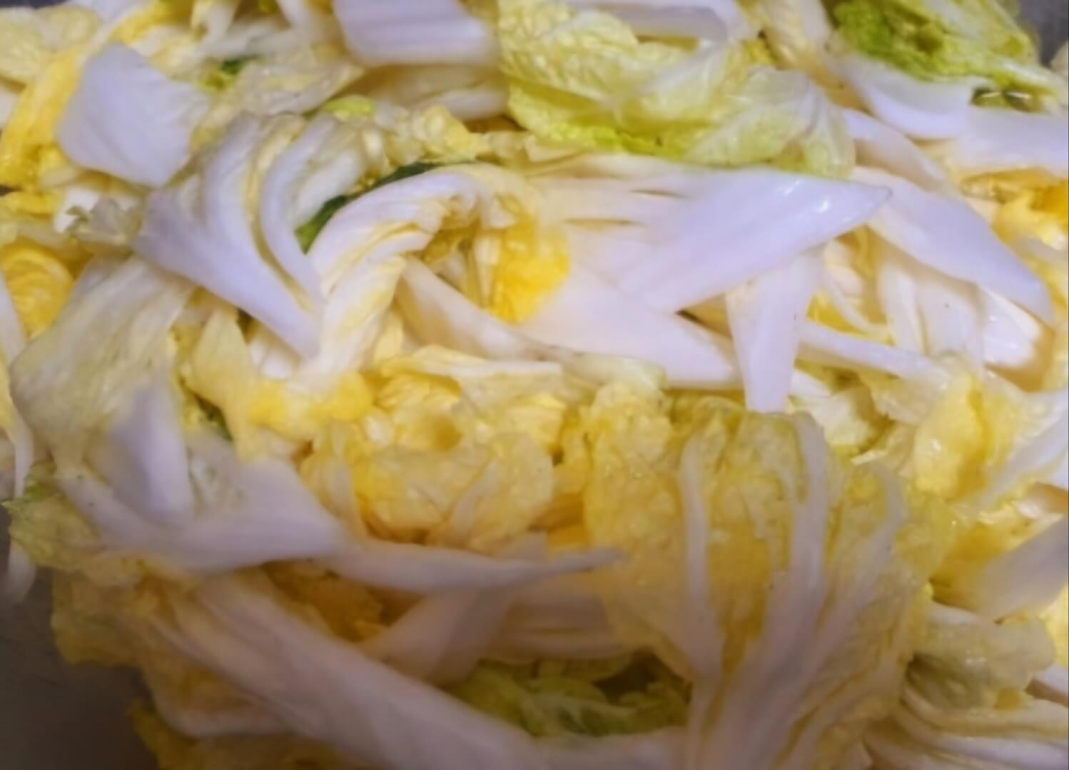 처음 담그는 사람을 위한 겉절이 김치 레시피