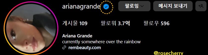 아리아나그란데-인스타그램-인증배지