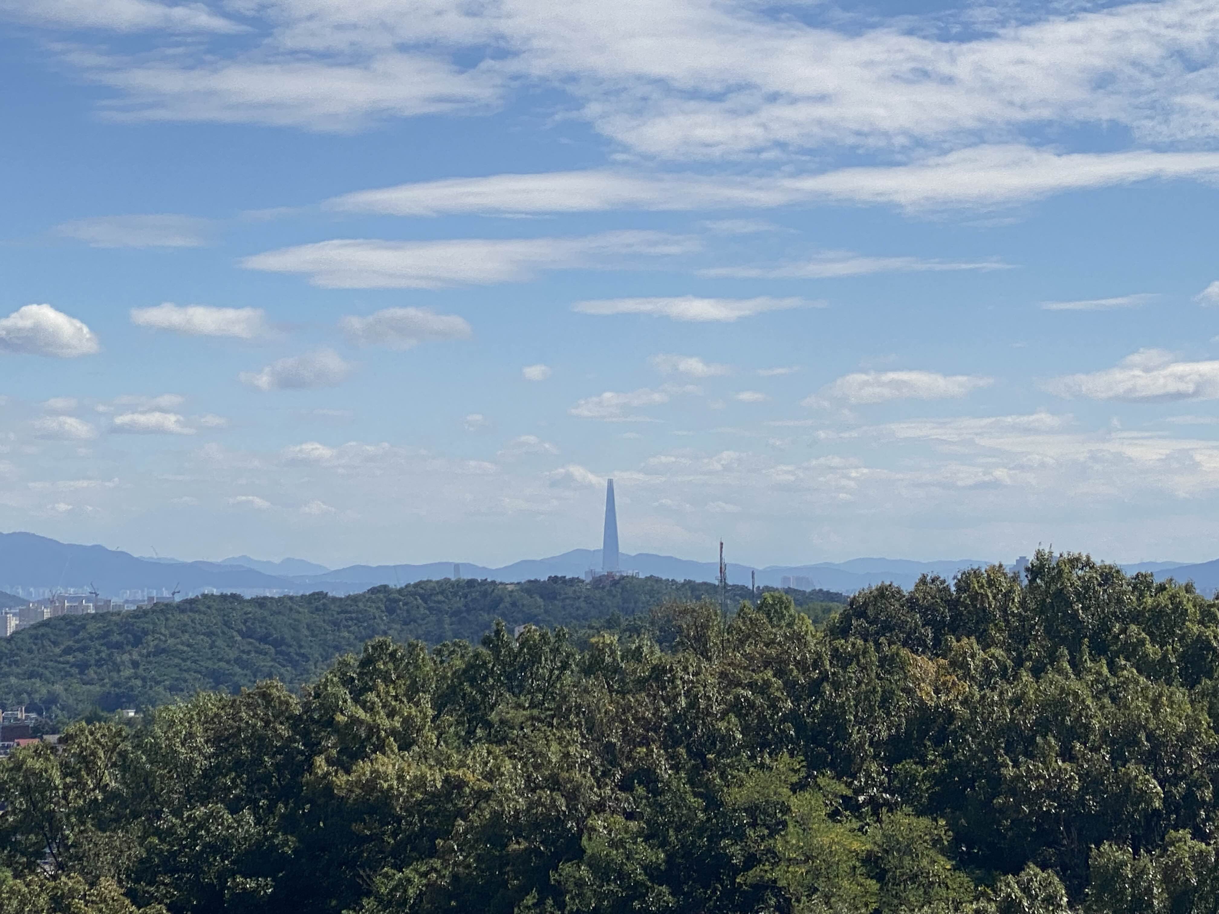 Alt 속성 문제 해결 설명 이미지