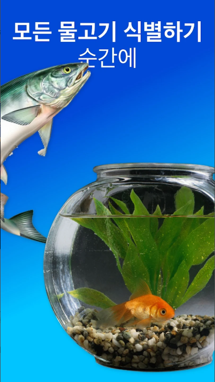 피시바이(Fishby), 물고기 도감, 사진으로 조류 식별하기, 물고기 이름 찾기 어플