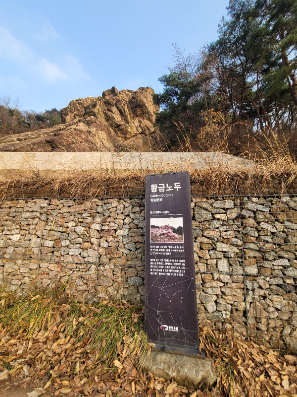 황금노두&amp;#44; 노두바위