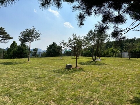 반려견과 함께 즐기는 용인 애견카페 총정리