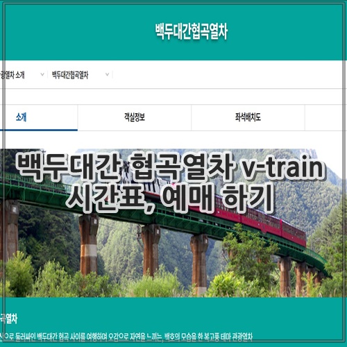백두대간 협곡열차 v-train 시간표, 예매 하기