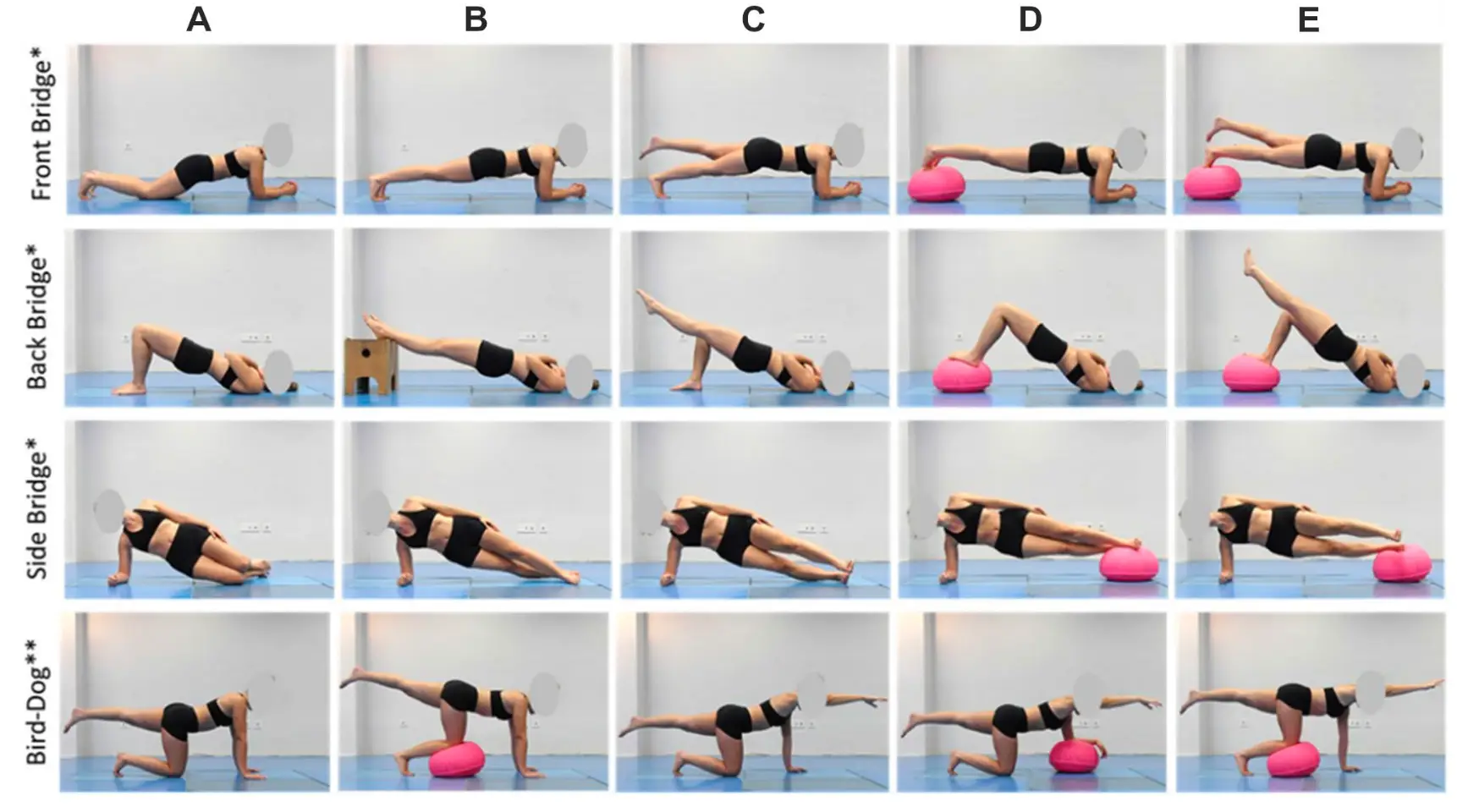 코어 안정화 운동의 과학적 프로그래션: 효과적인 운동 처방 가이드