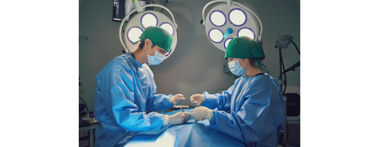 서울 성북구 동물병원