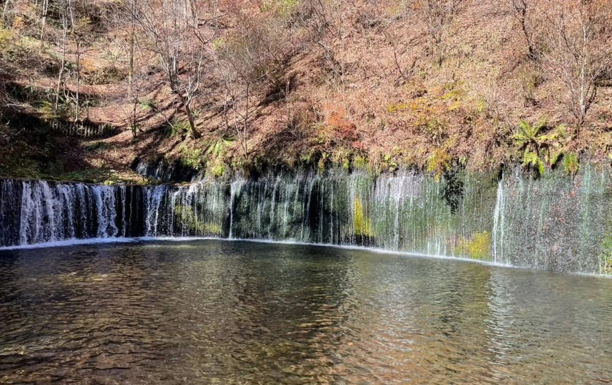 시라이토 폭포 (Shiraito Falls)