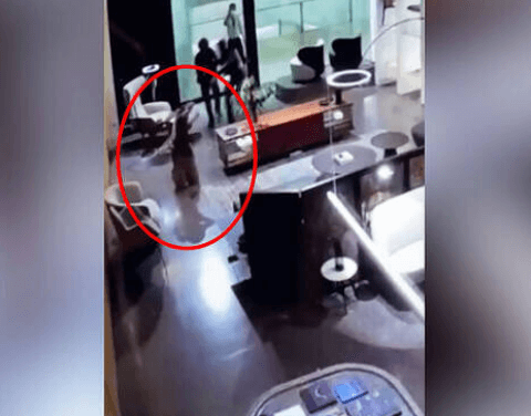 태국 총기난사 용의자