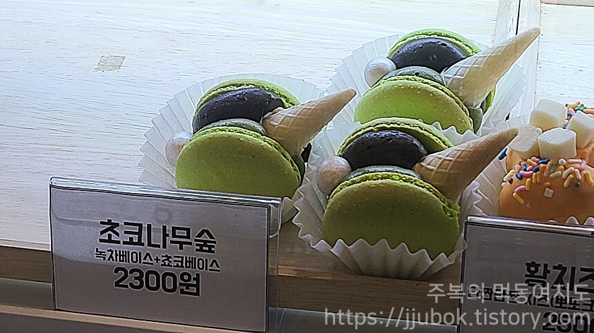 써니카롱-마카롱-라인업-초코나무숲