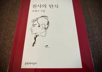 명시 우화의 강 마종기 전문 마종기 아름다운 시 10선_7
