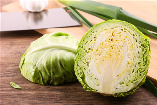 위에 좋은 음식