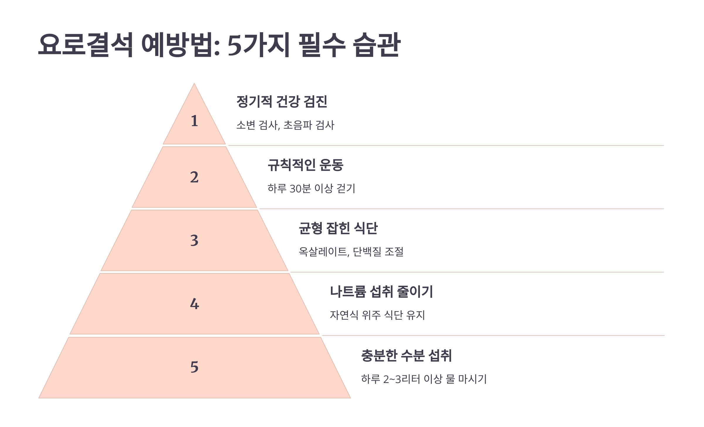 요로결석 예방법: 전문가가 추천하는 5가지 필수 습관 관련 이미지