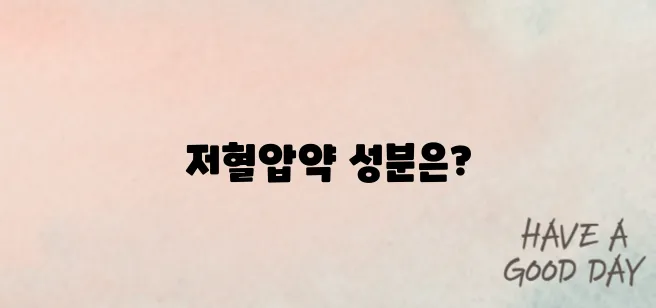 저혈압약 주요 성분과 효능 정리｜복용 전 꼭 알아야 할 정보