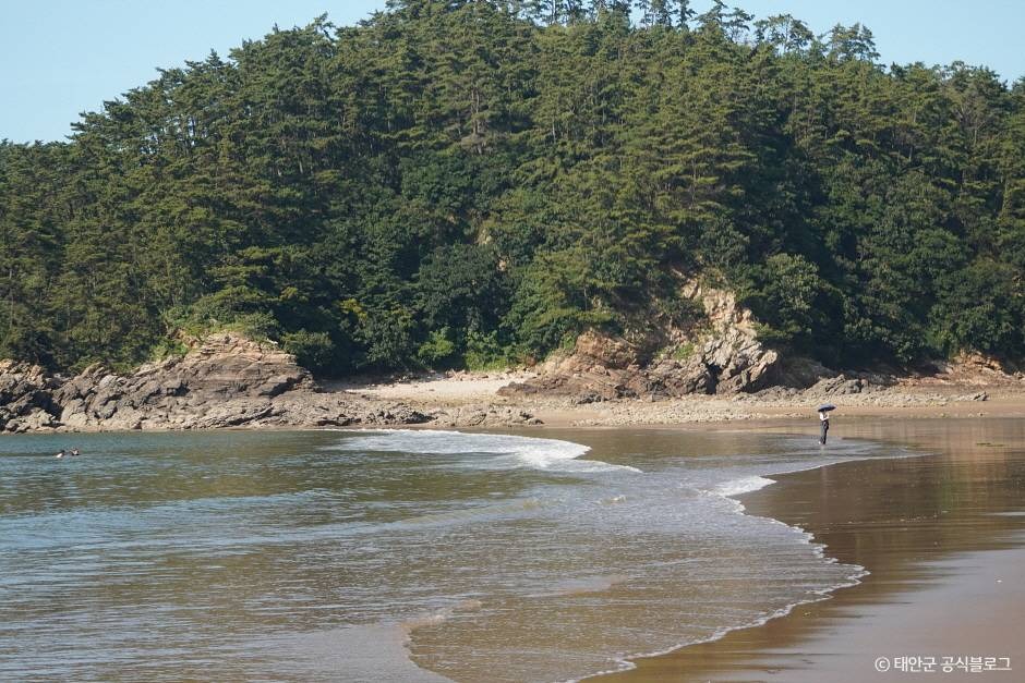 태안 구름포해수욕장