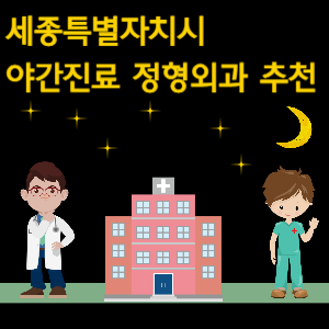 세종시 야간진료 정형외과 추천