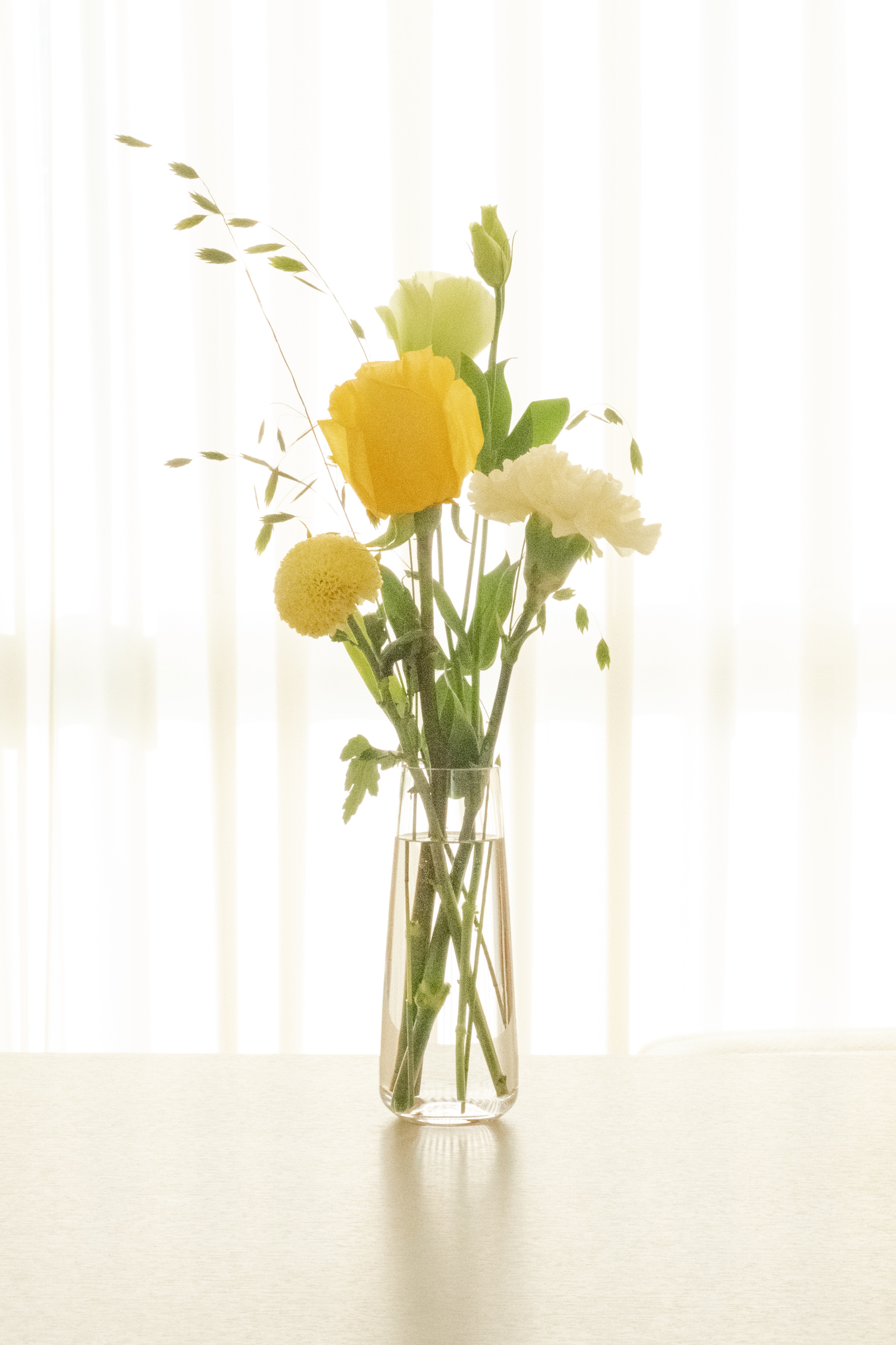 200925 carnation day