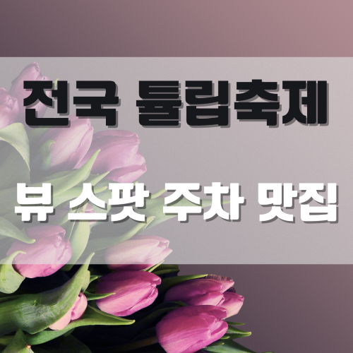 2024전국튤립축제튤립명소맛집주차