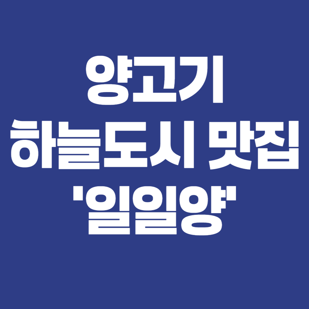 양고기 하늘도시 맛집 일일양