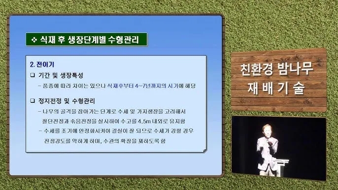 밤나무 재배 수분 수정 꽃가루 관리 해충 방제_3