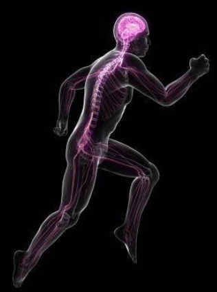 다이소-리콜-환불-받는-방법-욕실슬리퍼-유해물질