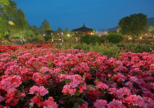 5월 국내여행지 베스트