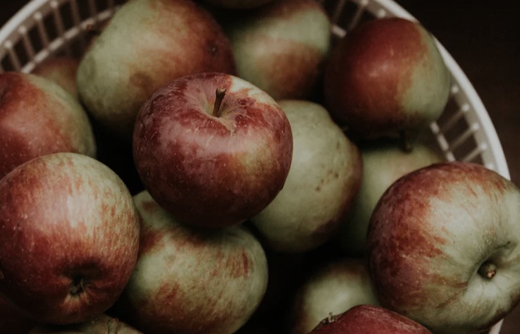 유방암에 좋은 과일 BEST5