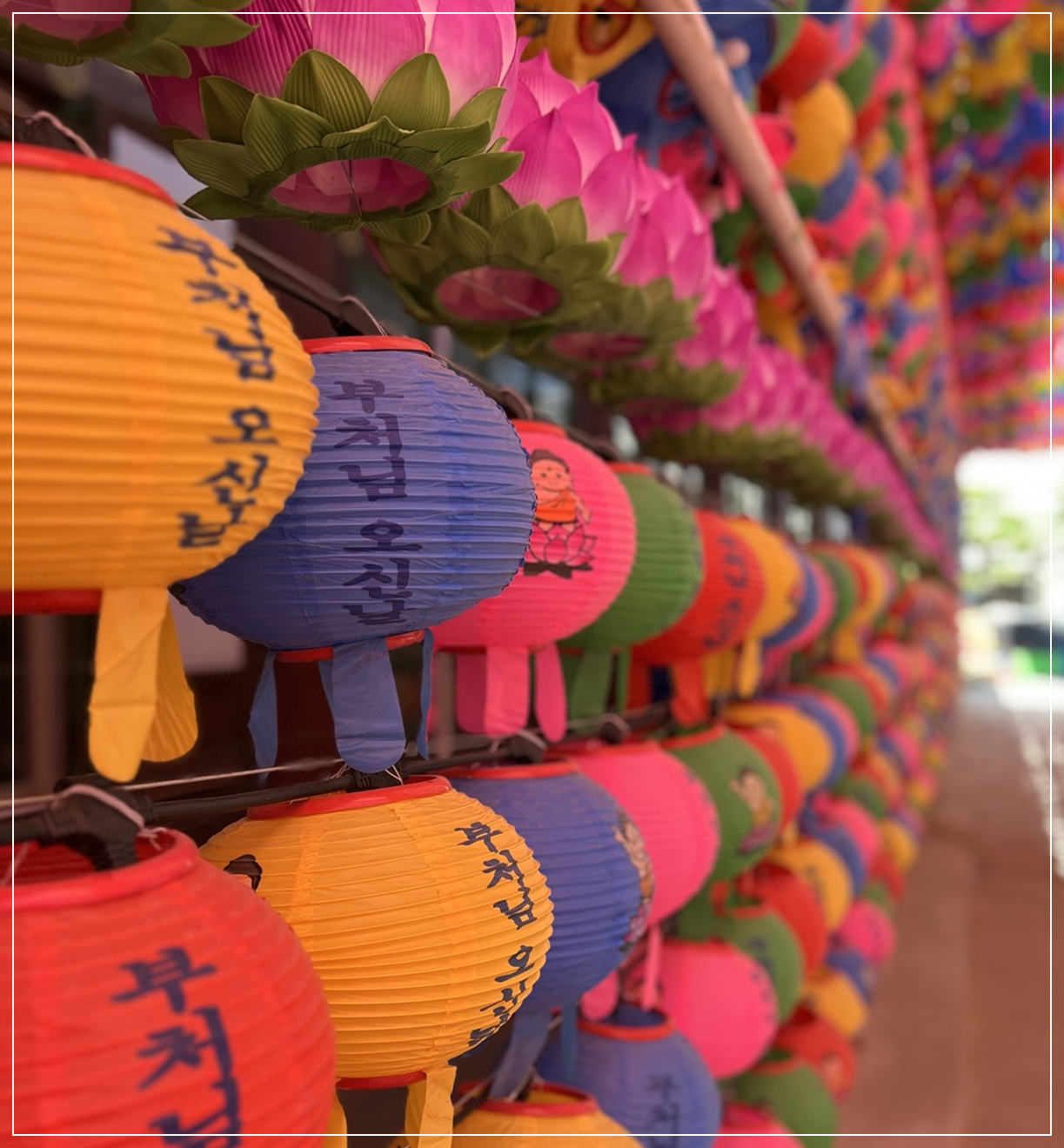 2025 조계사 내 부처님오신날 연등 모습