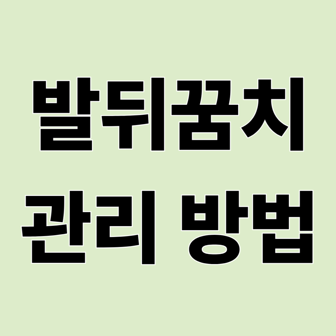 발뒤꿈치 관리 방법 – 갈라지는 발뒤꿈치와 각질 관리하는 법