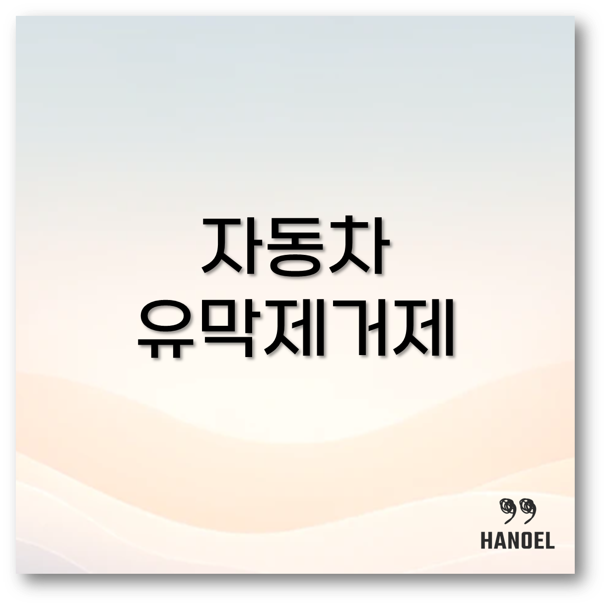 자동차 유막제거제