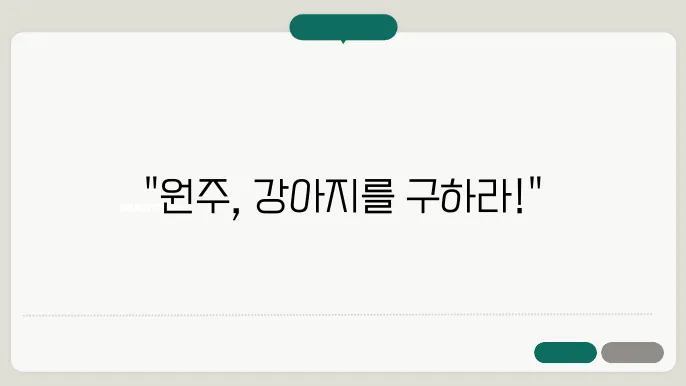 원주강아지보호소 컴투펫위탁보호센터