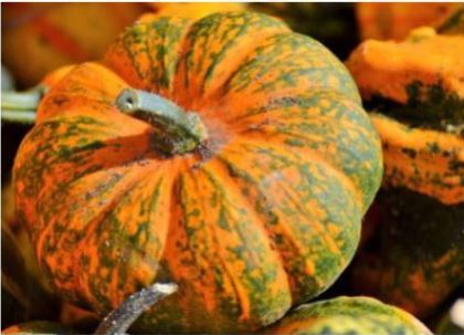 카리토-포텐-효능