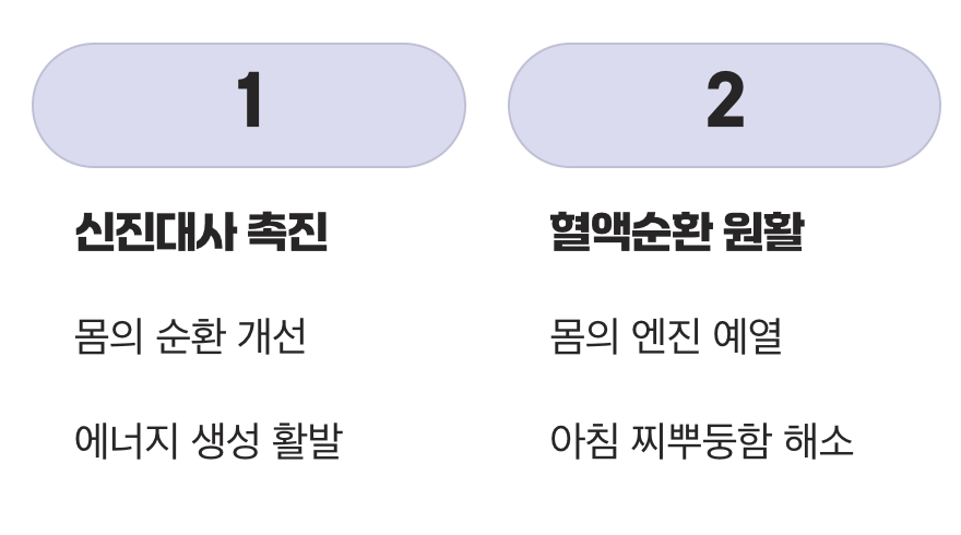 아침이 가뿐해지는 활력의 원천