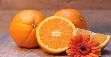 면역력을-높이는-방법-면역력에-좋은-음식-건강