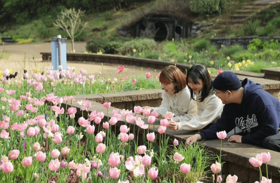 천리포수목원 봄축제: 자연이 피어나는 순간을 걷다!