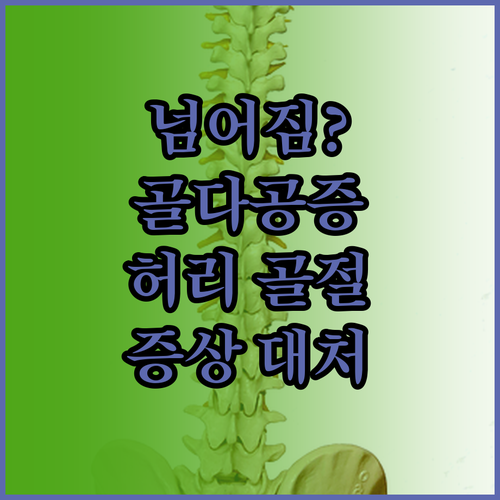 골다공증 넘어짐 후 허리통증 척추 압..