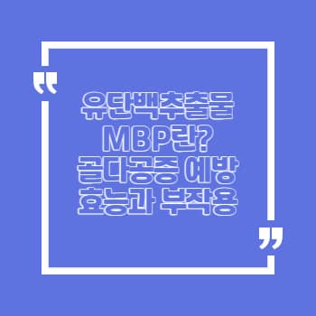 MBP란 효능 부작용