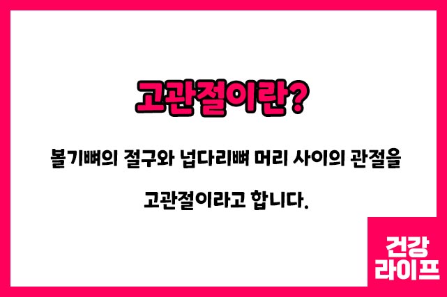 고관절이란?