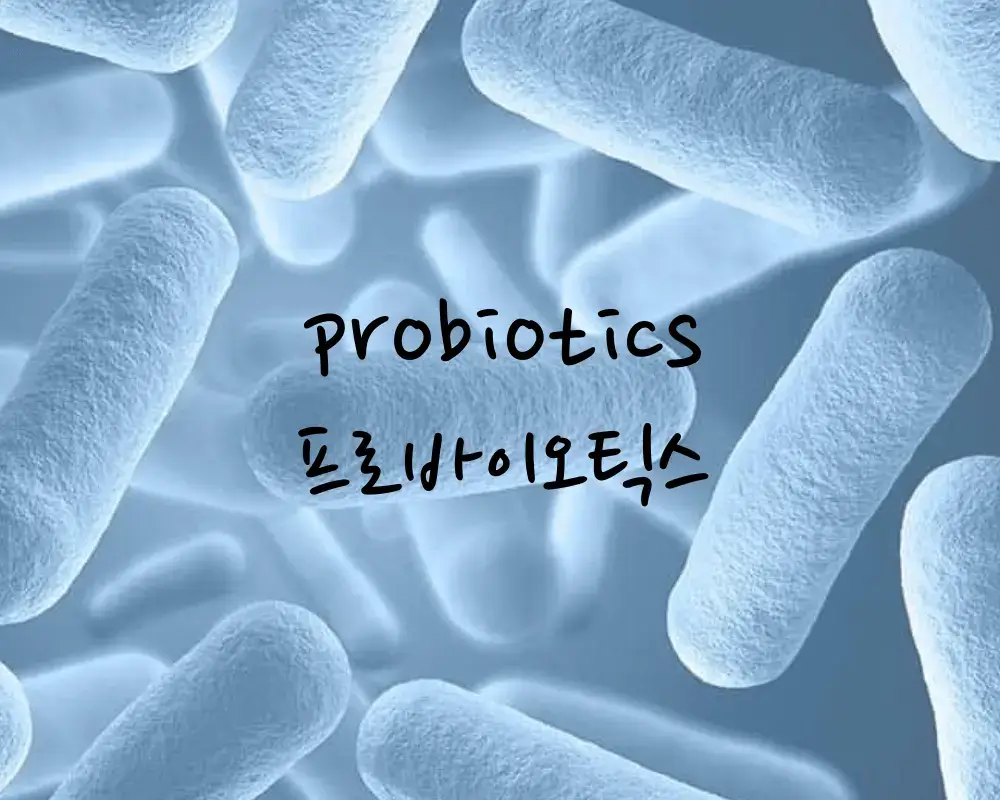 장 건강 프로바이오틱스