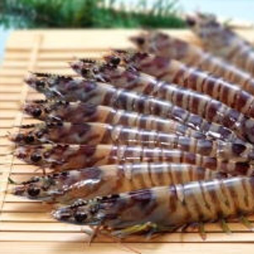 보리새우의 효능과 요리법&amp;#44; 부작용 알아보기