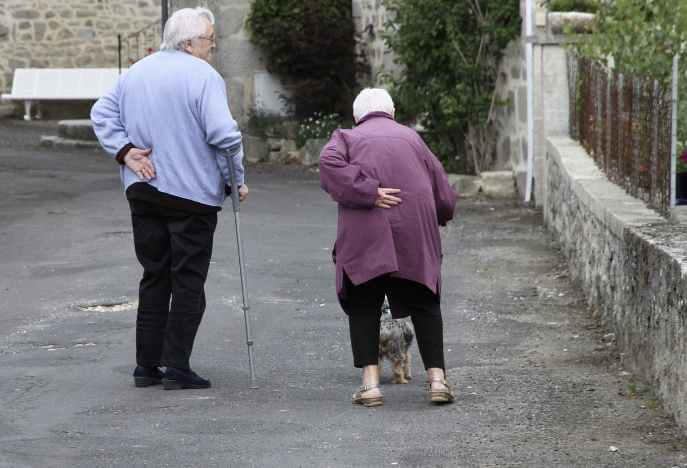 노인 부부의 사진