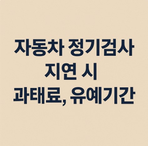 2025년 자동차 정기검사 지연 시 과태료/유예기간