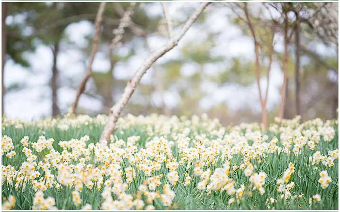 제주도 축제 일정