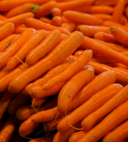 당근 효능 부작용 고르는법 칼로리