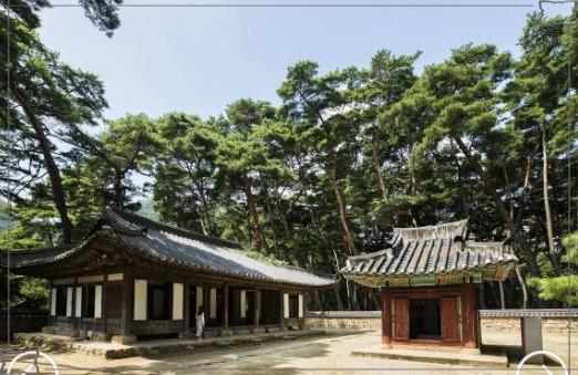 영화 '왕과 사는 남자' 촬영지 영월 여행: 청령포에서 장릉까지 핵심 코스