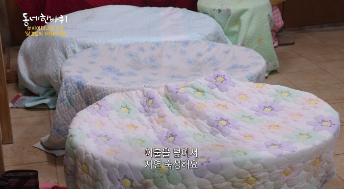 가자미식해-만들기