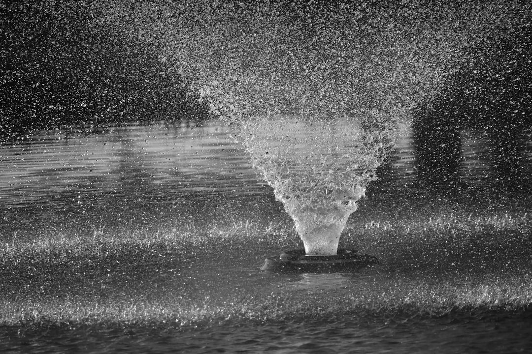 Spray