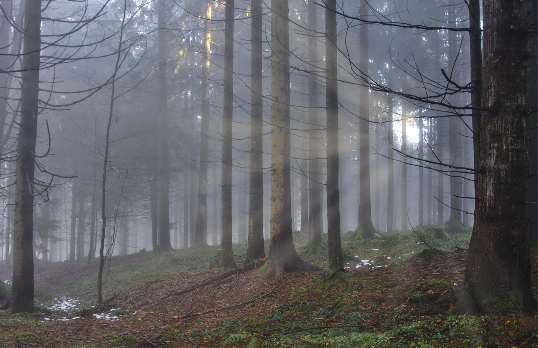 침수·폭염 지역 집값이 먼저 무너지는 구조!