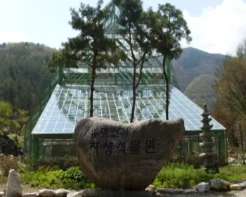 유명산 자연휴양림_6