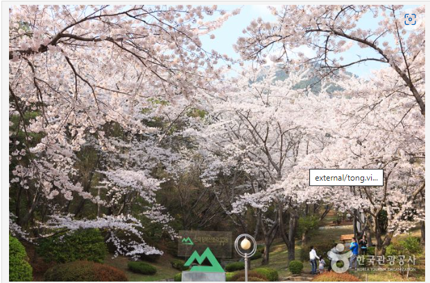 장복산 공원 찍은 사진