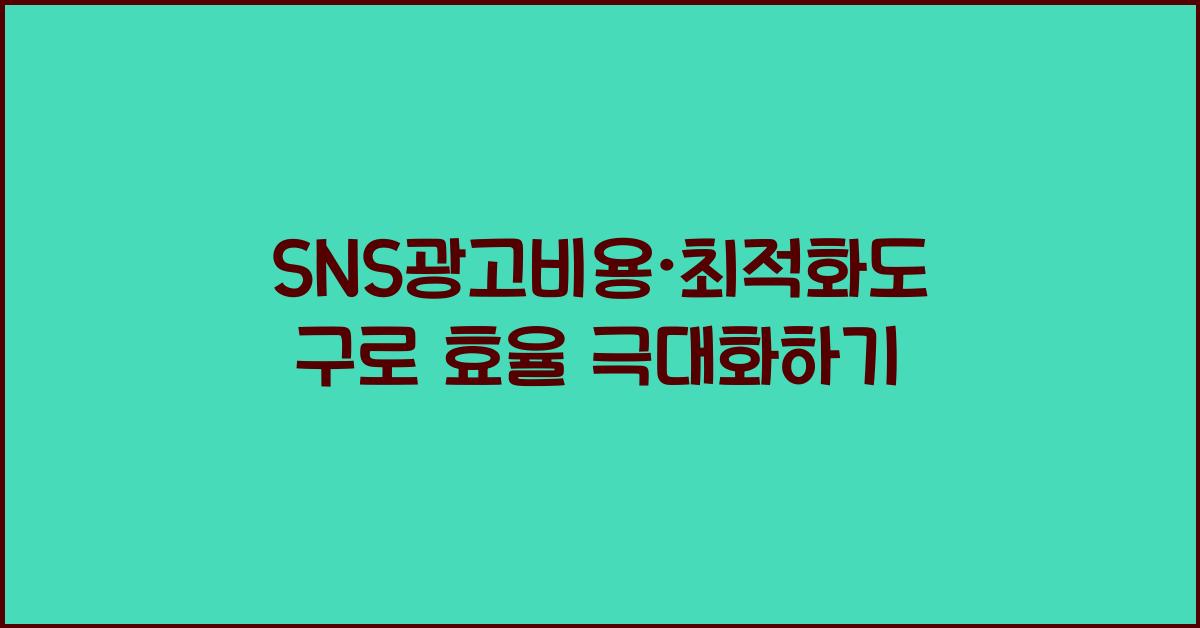 SNS광고비용·최적화도구