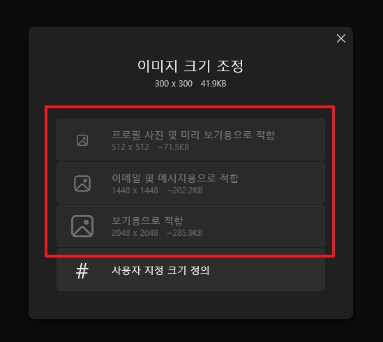 지정 크기 정의 옵션 선택